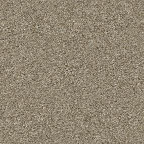 Rustic Rawhide Zoomed Swatch