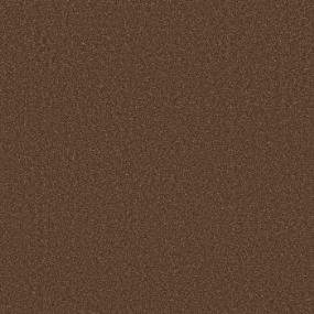 Bronco Swatch Thumbnail