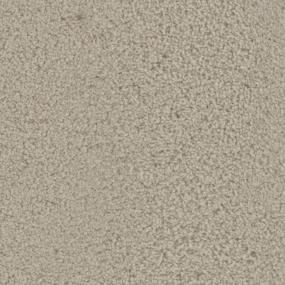 Warm Biscuit Zoomed Swatch