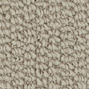 Coffman Cove Zoomed Swatch