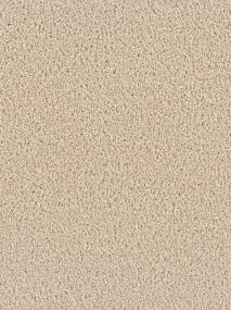 Exceptional II - Eggshell Swatch