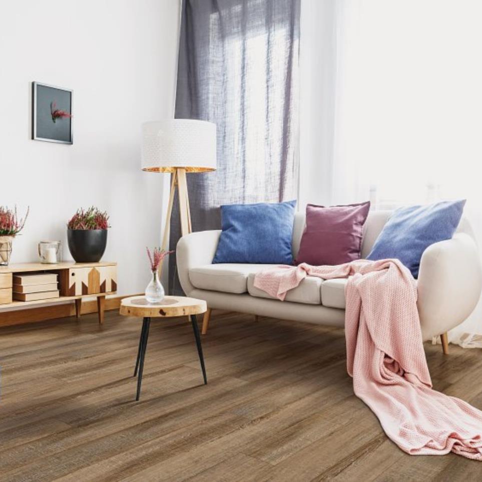 Room Scene