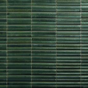 Herbal Glossy Swatch