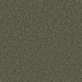 Fern Zoomed Swatch