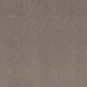 Modern Zen - Cider Brown Swatch