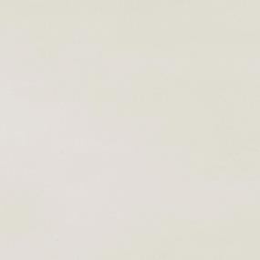 White Matte Zoomed Swatch