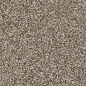 Brown Sugar Zoomed Swatch