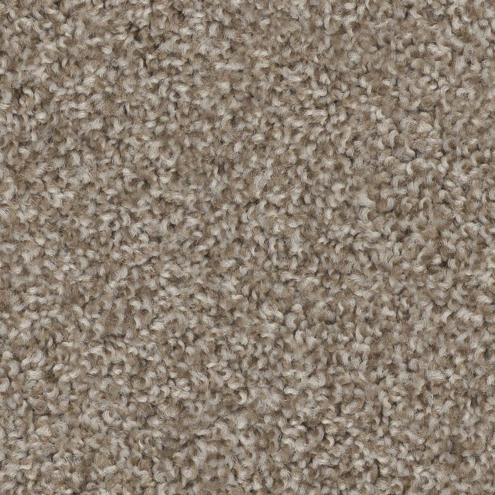 Brown Sugar Zoomed Swatch