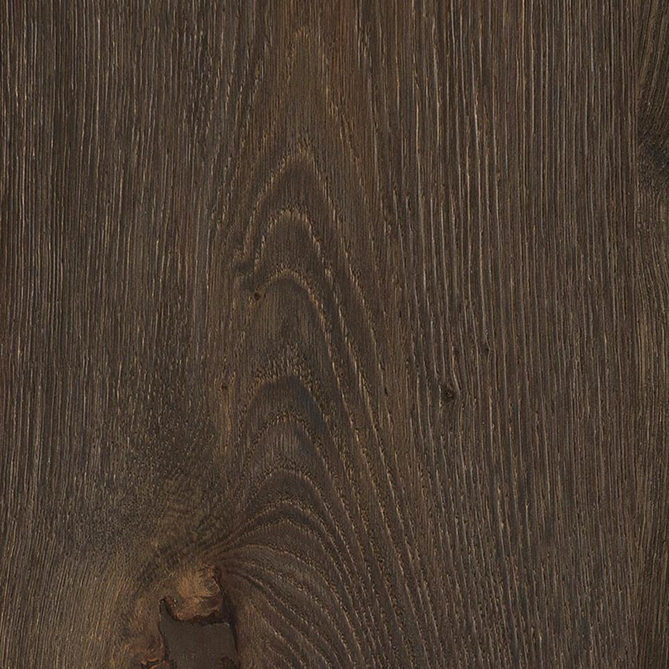 French Roast Zoomed Swatch