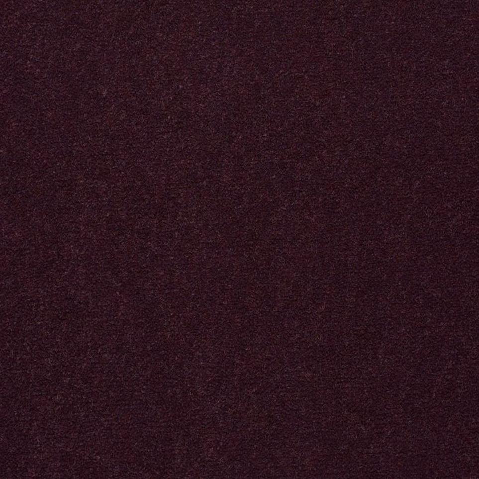 Orchid Swatch