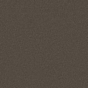 Geneva III - Espresso Swatch