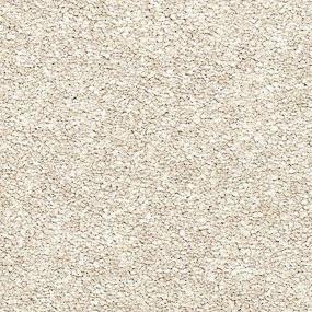 Champaign Zoomed Swatch