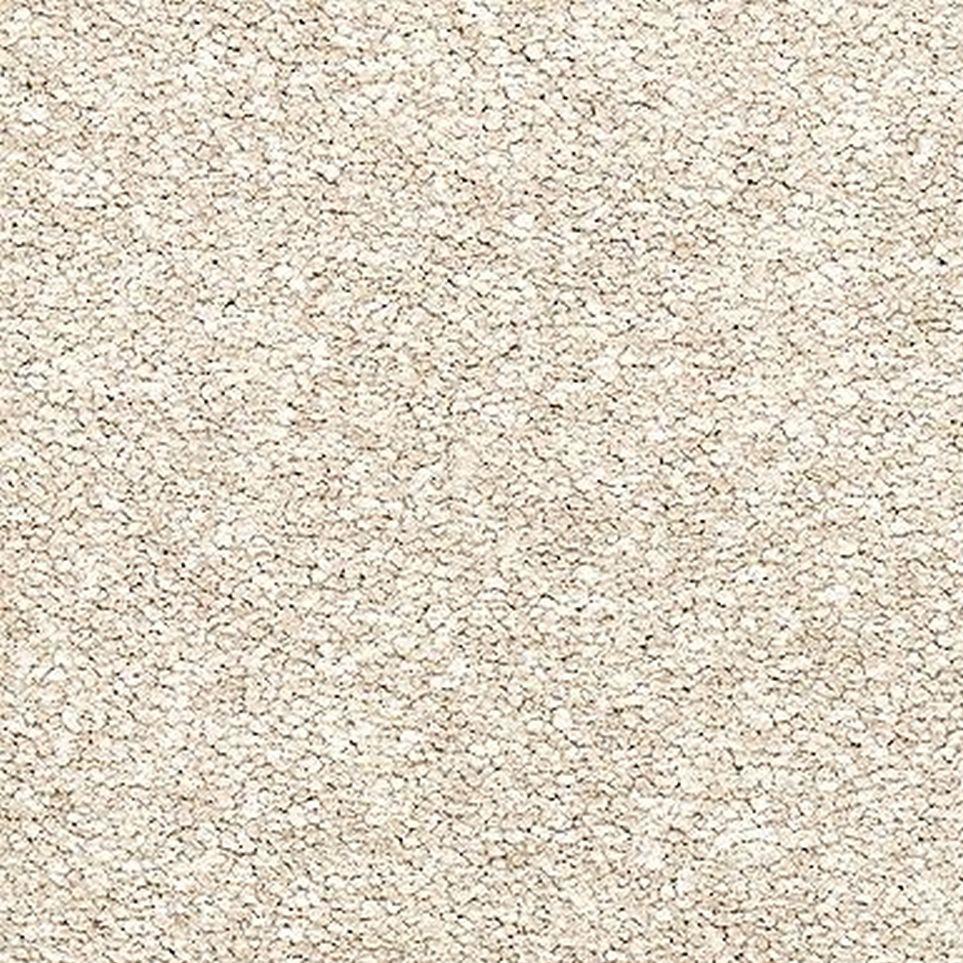 Champaign Zoomed Swatch
