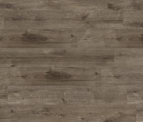 Euriha Disk - Urban Ridge Swatch