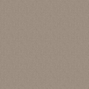 Soft Suede Swatch