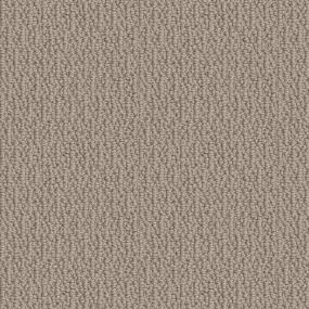 Gentle Tan Zoomed Swatch