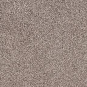 Brazen Zoomed Swatch