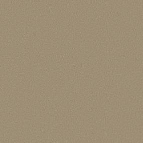 Cork Board Swatch