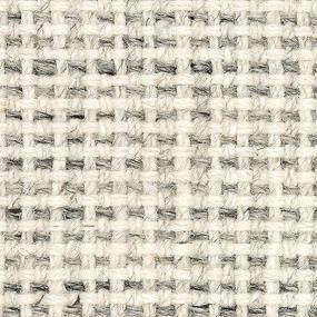 Charcoal Zoomed Swatch
