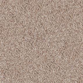 Akita - Bark Swatch
