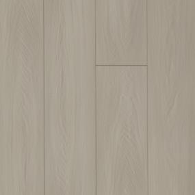 Plaster Wall Swatch