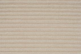 Promenade - Champagne Swatch