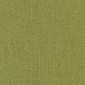 Color Array Tl II 24x24 - Forest Fern Swatch