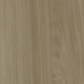 Forest Swatch Thumbnail