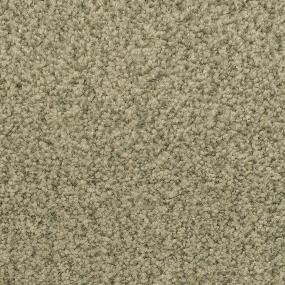 Innovations - Rain Forest Swatch