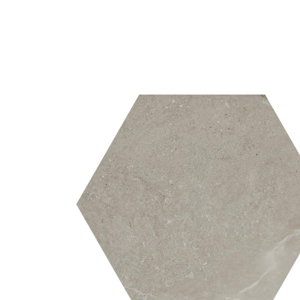 Mentor Matte Zoomed Swatch