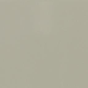 Matte Architectural Gray Matte Zoomed Swatch