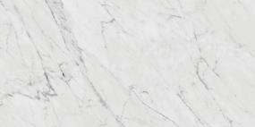 Marble Attache Lavish Rectangle 12X24 PL - Diamond Carrara Polished Swatch