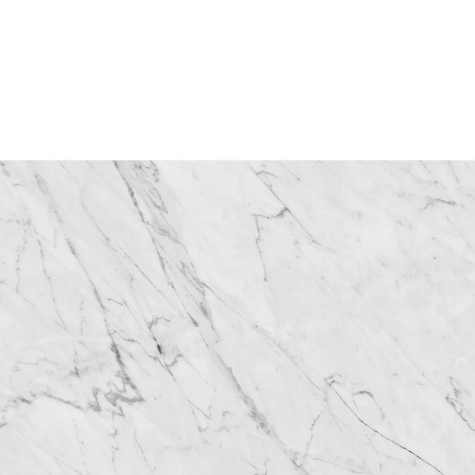 Diamond Carrara Polished Zoomed Swatch