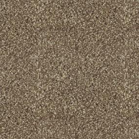 Nutmeg Zoomed Swatch