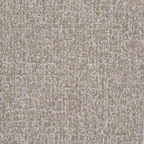 Ventura - Wet Sand Swatch