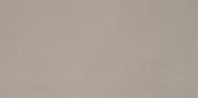 Neoconcrete Rectangle 12X24 Lp - Light Gray Light Polished Swatch