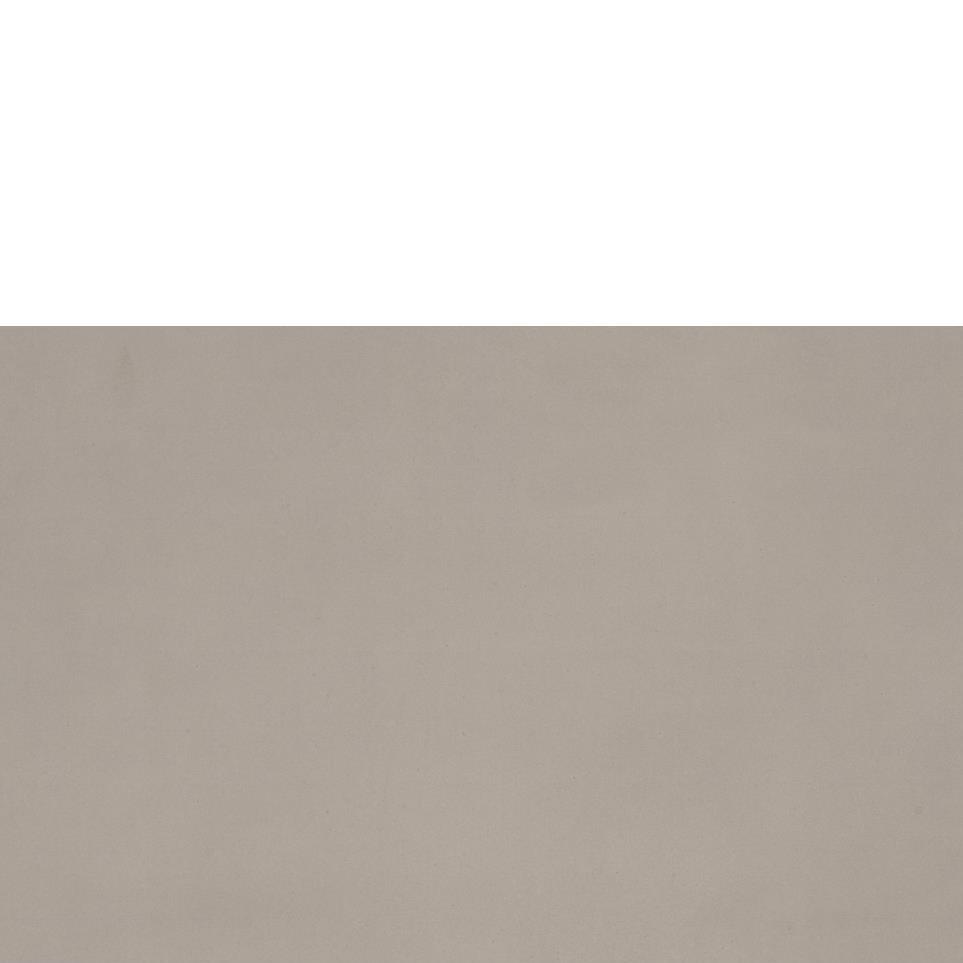 Light Gray Light Polished Zoomed Swatch