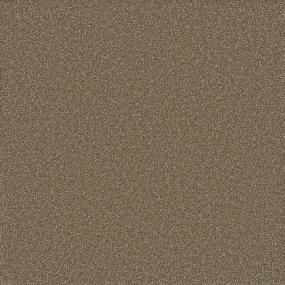 Rooted Swatch