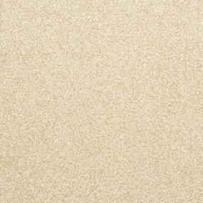 Delight - Camelite Swatch