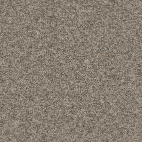 Driftwood Zoomed Swatch