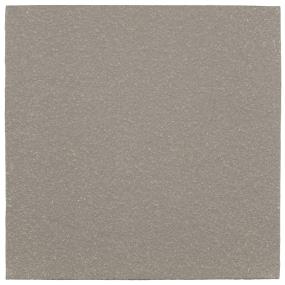 Quetread Square 6X6 Mt Grp2 - Gray Matte Swatch