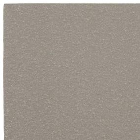 Gray Matte Zoomed Swatch