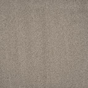 Star Power - Oatmeal Raisin Swatch
