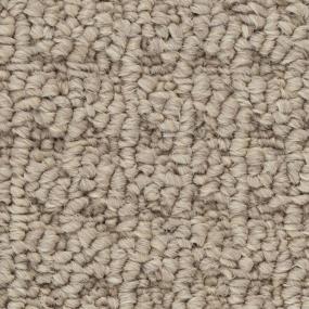 Macadamia Nut Zoomed Swatch