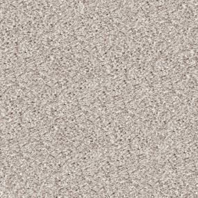 Akita - Yorkie Swatch