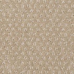 Greenwich Style - Birch Swatch