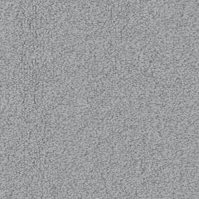 Waltz Zoomed Swatch
