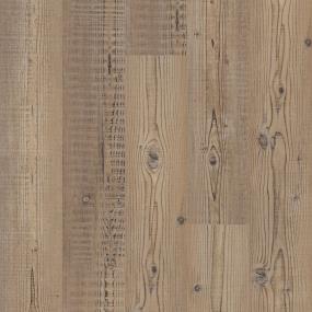 PASSIONATE - Wayfarer Pine Swatch