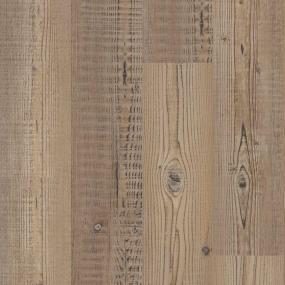 Wayfarer Pine Zoomed Swatch