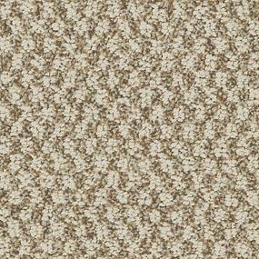 Cambridge Square - Ginger Snap Swatch